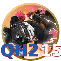 QH215